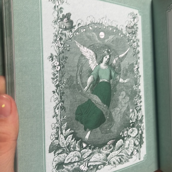 The Witch’s Way hardcover book by Shawn Robbins & Leanna Greenaway - Picture 8 of 9